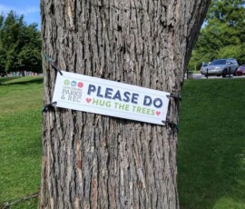Definitely hug the trees!